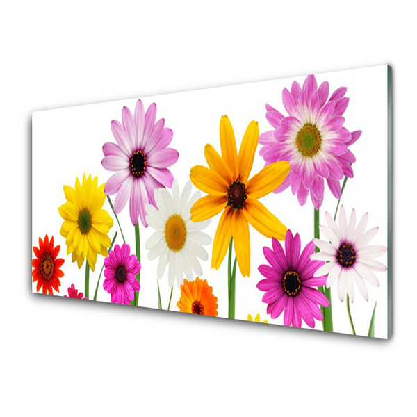 Tableaux sur verre Fleurs floral multicolore