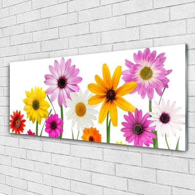 Tableaux sur verre Fleurs floral multicolore