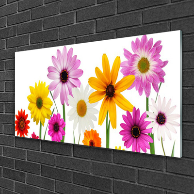 Tableaux sur verre Fleurs floral multicolore