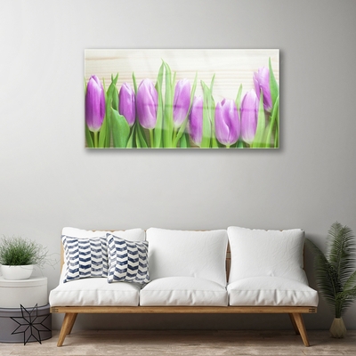 Tableaux sur verre Tulipes floral rose vert