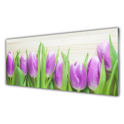 Tableaux sur verre Tulipes floral rose vert