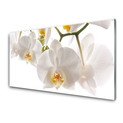 Tableaux sur verre Fleurs floral blanc