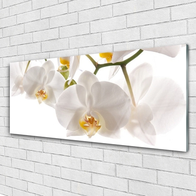 Tableaux sur verre Fleurs floral blanc