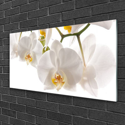 Tableaux sur verre Fleurs floral blanc