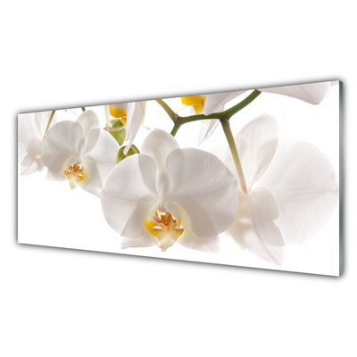 Tableaux sur verre Fleurs floral blanc