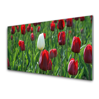 Tableaux sur verre Tulipes floral rouge blanc vert