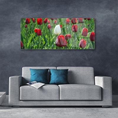 Tableaux sur verre Tulipes floral rouge blanc vert