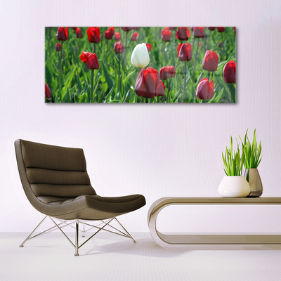 Tableaux sur verre Tulipes floral rouge blanc vert