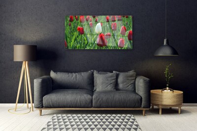 Tableaux sur verre Tulipes floral rouge blanc vert