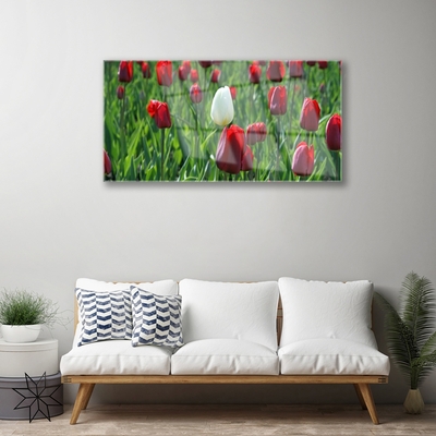 Tableaux sur verre Tulipes floral rouge blanc vert