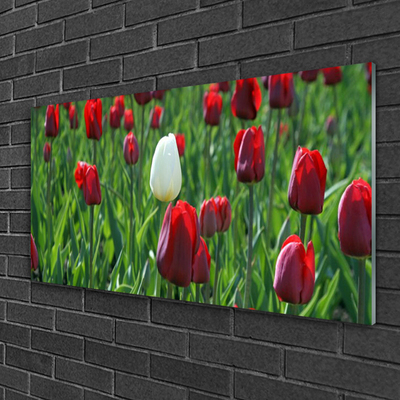 Tableaux sur verre Tulipes floral rouge blanc vert