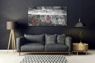 Tableaux sur verre Fleurs prairie nature gris rouge