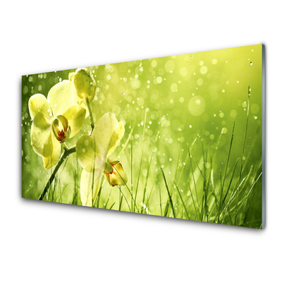 Tableaux sur verre Fleurs herbe floral vert