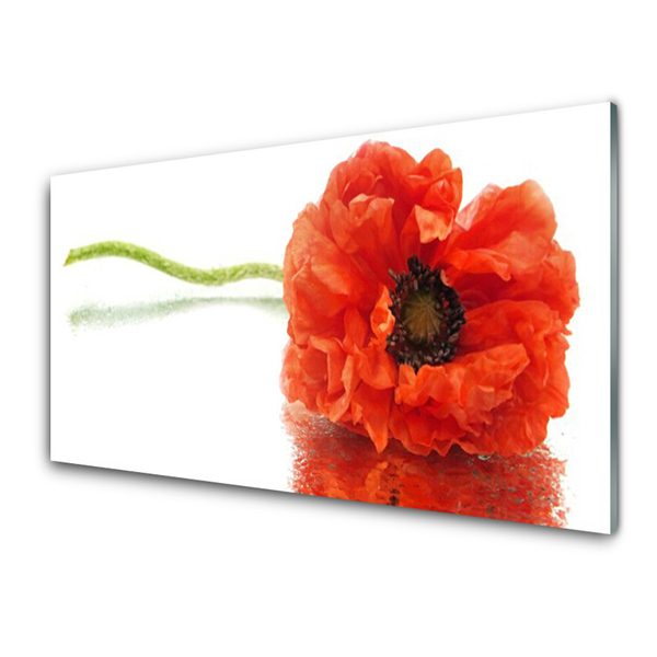 Tableaux sur verre Fleur floral rouge