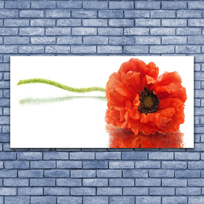 Tableaux sur verre Fleur floral rouge