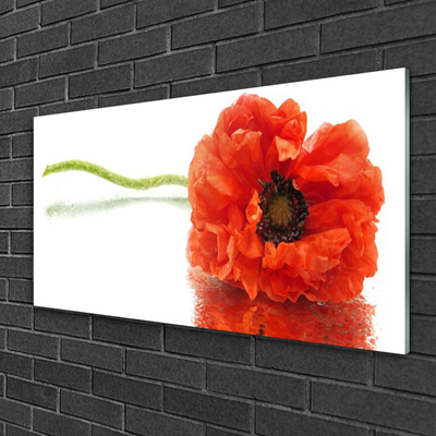 Tableaux sur verre Fleur floral rouge