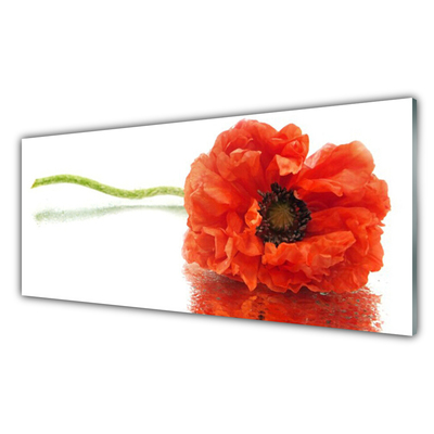 Tableaux sur verre Fleur floral rouge