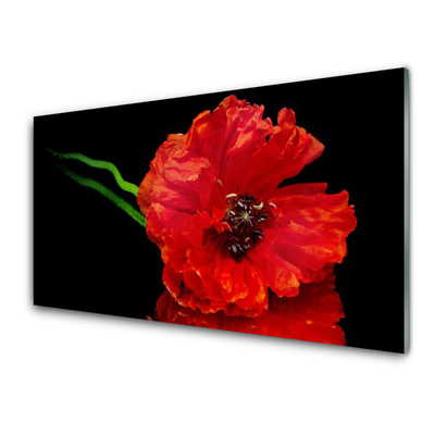 Tableaux sur verre Fleur floral rouge