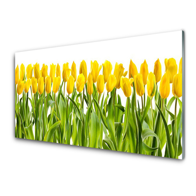 Tableaux sur verre Tulipes floral jaune vert