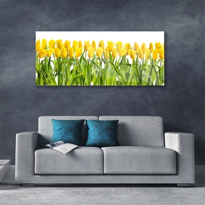 Tableaux sur verre Tulipes floral jaune vert
