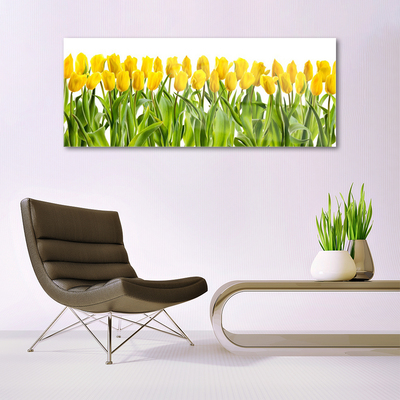 Tableaux sur verre Tulipes floral jaune vert