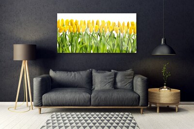 Tableaux sur verre Tulipes floral jaune vert