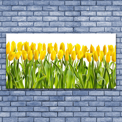 Tableaux sur verre Tulipes floral jaune vert