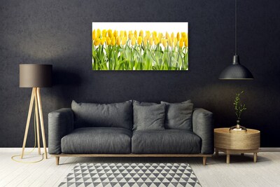 Tableaux sur verre Tulipes floral jaune vert