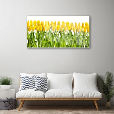 Tableaux sur verre Tulipes floral jaune vert