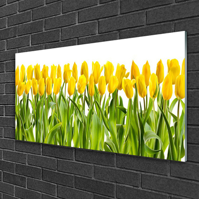 Tableaux sur verre Tulipes floral jaune vert