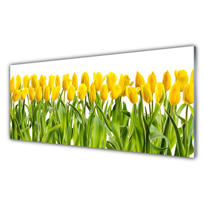 Tableaux sur verre Tulipes floral jaune vert