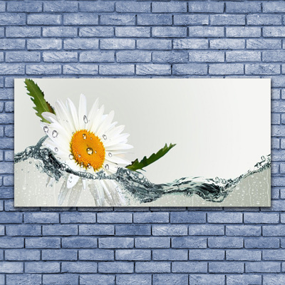 Tableaux sur verre Marguerite eau art jaune blanc bleu