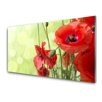 Tableaux sur verre Coquelicots floral vert rouge