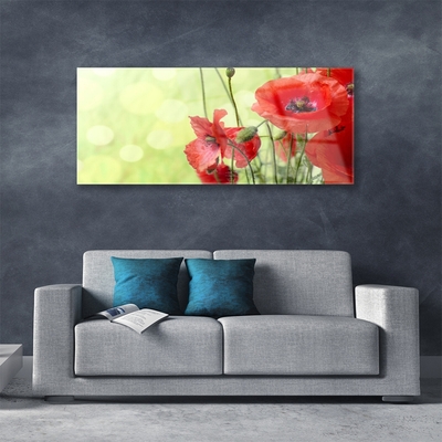 Tableaux sur verre Coquelicots floral vert rouge