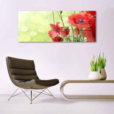 Tableaux sur verre Coquelicots floral vert rouge