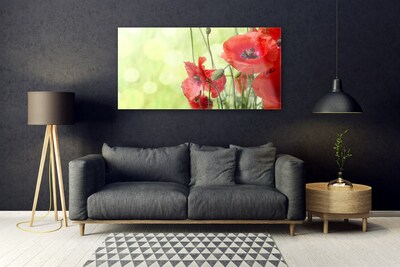 Tableaux sur verre Coquelicots floral vert rouge