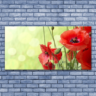 Tableaux sur verre Coquelicots floral vert rouge