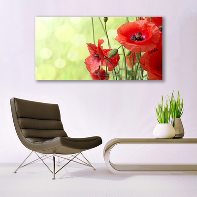 Tableaux sur verre Coquelicots floral vert rouge