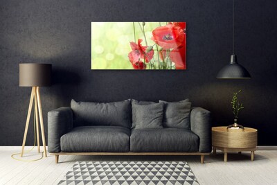 Tableaux sur verre Coquelicots floral vert rouge