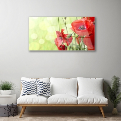 Tableaux sur verre Coquelicots floral vert rouge