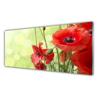 Tableaux sur verre Coquelicots floral vert rouge