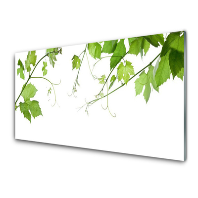 Tableaux sur verre Branches feuilles floral brun vert