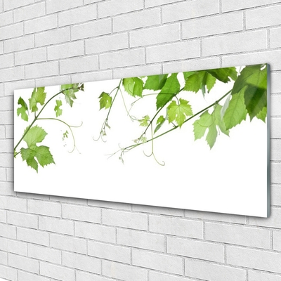 Tableaux sur verre Branches feuilles floral brun vert