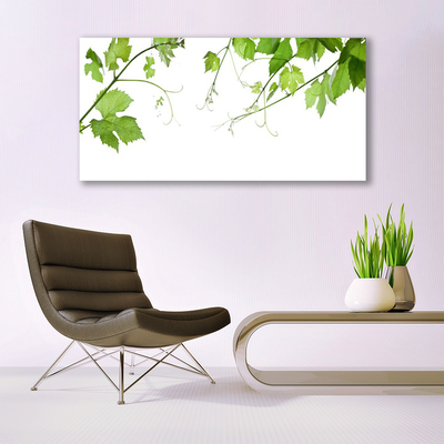 Tableaux sur verre Branches feuilles floral brun vert
