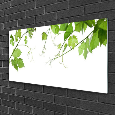 Tableaux sur verre Branches feuilles floral brun vert