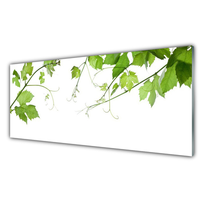 Tableaux sur verre Branches feuilles floral brun vert