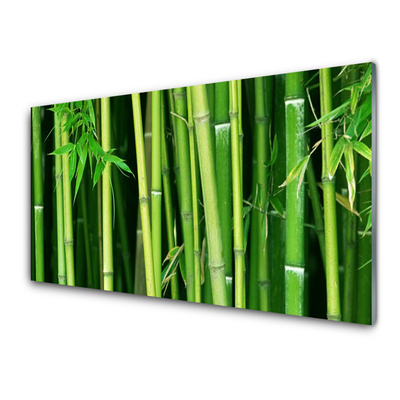 Tableaux sur verre Bambou floral vert