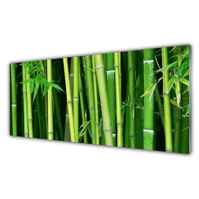 Tableaux sur verre Bambou floral vert