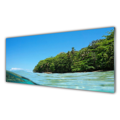 Tableaux sur verre Mer arbres paysage bleu vert