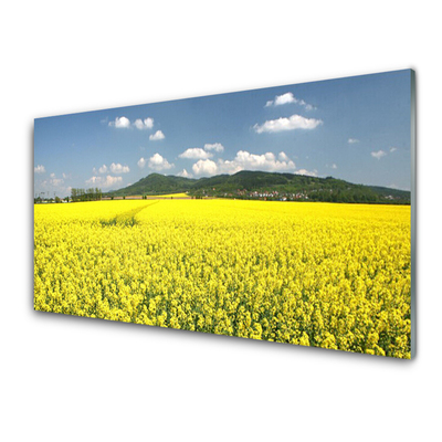 Tableaux sur verre Prairie nature jaune